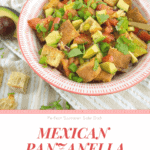 This Mexican Panzanella Salad makes the perfect side dish to any dinner!| Sip and Spice #sidedish #vegan #cleaneating #fusion #salad