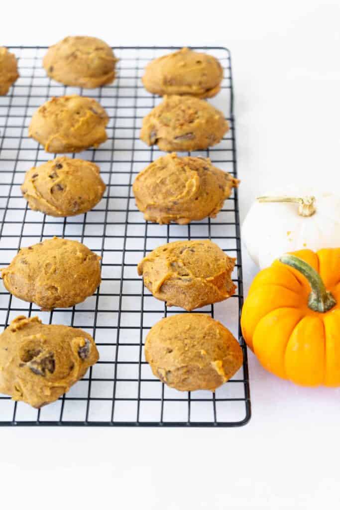 pumpkin chocolate chip cookies cooling in rows on a rack